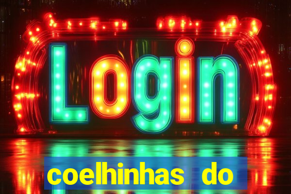 coelhinhas do brasil recife